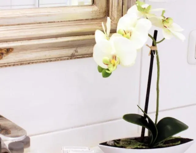 Stadthotel Restaurant Auerhahn Отель Фёклабрукк