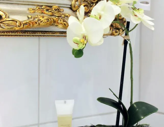 Stadthotel Restaurant Auerhahn 3*